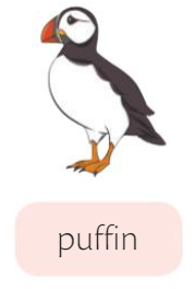 puffin.png